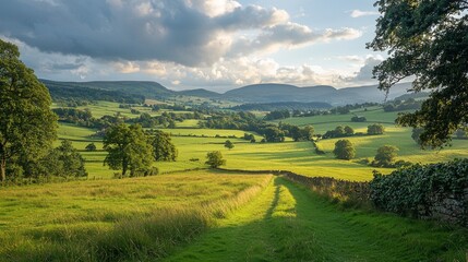 Aufkleber - Lush green fields stretch across the countryside, gently rolling beneath a partly cloudy sky. Nature's beauty shines through in this peaceful rural landscape at dusk, inviting contemplation
