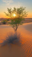 Poster - The sun sets gently over undulating golden sand dunes, casting a warm glow on a solitary tree standing resiliently amidst the arid landscape, capturing the essence of desert serenity