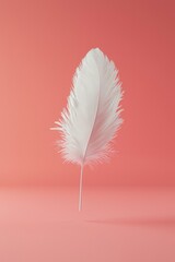 Poster - Delicate white feather. AI.