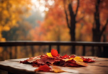 leaves autumn yellow background table forest red fall leaf wooden maple orange nature wood tree seas