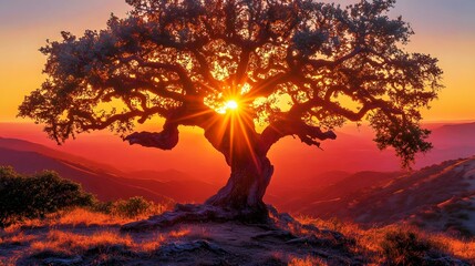 Wall Mural - sunset in the mountains
