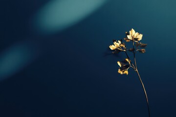 Poster - Golden flower sprig on dark blue background with sunlight.