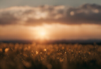 Wall Mural - the horizon sun sky cloudy cloudscape cloudiness cloud sunset sundown sunrise sunny sunlight atmosph