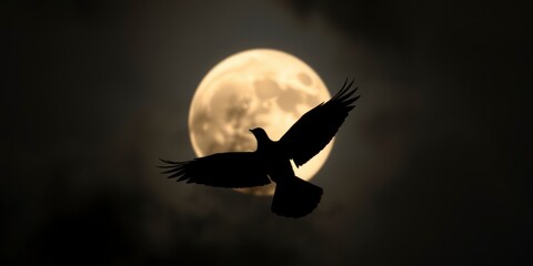 Wall Mural - A full moon partially obscured by clouds in a dark night sky