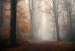 © sandra - misty autumn lanscape forest plant park panoramic nature natural national mountain mist light landscape idylli hill hiking tree high green yellow wood footpath wildlife foggy wild fog wallpaper fall