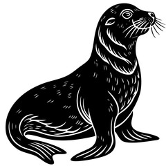 Wall Mural -  Sea lion isolated over white vector art illustration