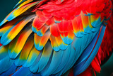 Close up of Scarlet macaw bird's feathers