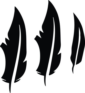 set of feather vector illustration