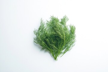 Poster - Fresh green leaves arranged on a white surface