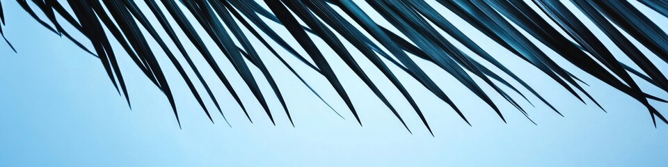 Poster - A close-up shot of a palm leaf's delicate fronds against a bright blue sky