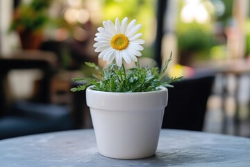 Poster - A small white flower pot sits on a table, perfect for decorating or adding a touch of elegance to any room
