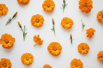 Poster - a close-up shot of a bunch of orange flowers arranged on a white background
