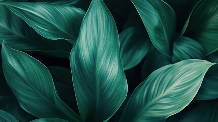 Poster - Lush green leaves with intricate patterns and textures, creating a serene natural ambiance.