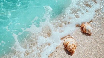 Poster - Seashells on a sandy beach with gentle waves and turquoise water.