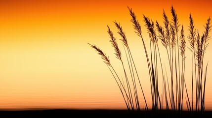 Poster - Silhouetted grass sways against a vibrant orange sunset, creating a serene and tranquil atmosphere.