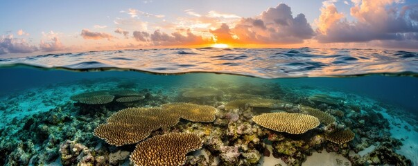 Aufkleber - A stunning sunset reflects over clear waters, showcasing vibrant coral reefs beneath the surface, creating a serene marine landscape.