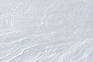 Wall Mural - The snow is white and the ground is covered in it