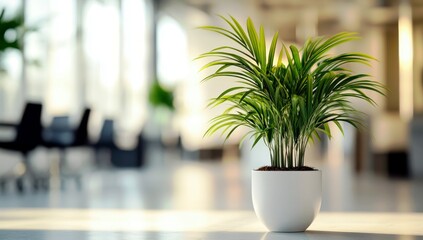 Poster - Lush Green Plant in a Modern Office Space Enhancing Natural Light, Creating a Fresh and Inviting Atmosphere for Work Environments