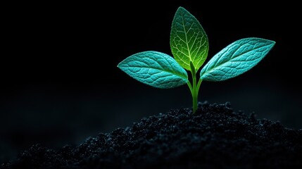 Poster - a tiny sprout pushing through rich, dark soil, reaching towards the sunlight with vibrant green leav