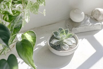Aufkleber - A minimalistic workspace featuring eco-friendly materials, natural light, and plants embodies a lifestyle dedicated to mindful wellness and sustainability.