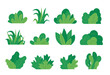 © santima.studio - Green bush blossom. grass bush vector illustration