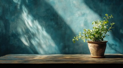 Poster - Green Plant In Terracotta Pot Against Teal Wall