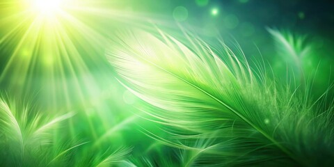 Wall Mural - Serene Green Feathers Illuminated by Sunlight in a Lush Natural Setting