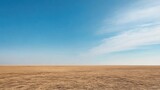 Expansive desert landscape under a clear blue sky