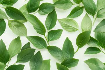 Wall Mural - Green Leaves Pattern on Light Background Nature, Freshness, and Eco Friendly Design