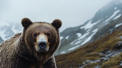 Wall Mural - Grizzly Bear in Snowy Mountain Landscape