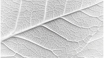 Poster - Intricate Leaf Vein Structure Detailed Close Up