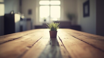 Poster - Small potted plant sits on a wooden table