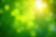 © Kathy - Vibrant green bokeh, sunlit leaves, summer glow, bright, bokeh