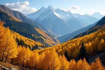 Wall Mural - Golden aspens blanket mountain slopes, crisp autumn air , landscape, panorama, scenic