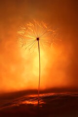Fototapete - Bathed in the warm glow of an orange sunset, a delicate grass seedhead stands tall, embodying resilience and the promise of new beginnings against a stunning backdrop