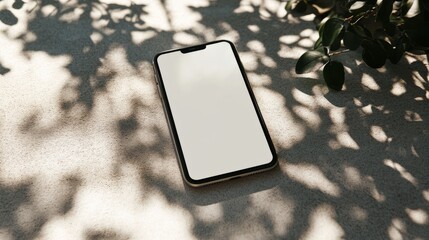 Poster - Smartphone with blank white screen on a clean, light background, soft sunlight casting gentle shadows.