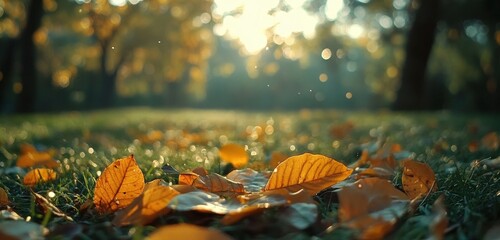 Poster - Beautiful Golden Autumn Leaves on Ground with Soft Morning Light in Background Creating a Peaceful Atmosphere in Natural Setting