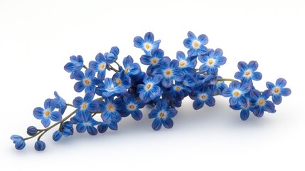 Wall Mural - close-up of a bouquet of blue flowers on a white background, great for decorating or as a symbol of 