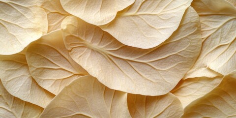 Wall Mural - A close-up view of a bunch of leaves, ideal for nature-inspired designs and illustrations