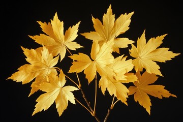 Wall Mural - A close-up view of a plant with yellow leaves, useful for botanical or scientific illustrations