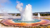 Boiling water spouts erupting at Fly Geyser, Nevada landscape
