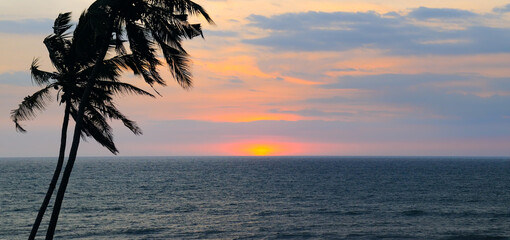 Poster - Sea, palm tree silhouette and bright sunset. Concept - vacation and travel.