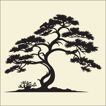 New Year Pine Silhouette, Pine, Holiday