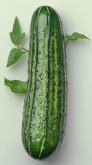 Sticker - Fresh Green Striped Cucumber With Leaves