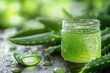 © 怡如 柯 - Aloe Vera Succulent Plant for Skin Care and Herbal Medicine Benefits in Nature