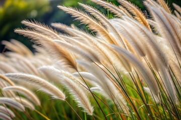 Wall Mural - feathery grass blowing in the wind flower wallpaper concept