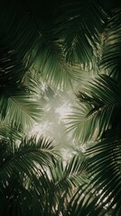 Poster - Sunlight filters through a dense canopy of vibrant green palm leaves, creating a captivating scene of natural beauty in a tropical rainforest or botanical garden