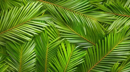 Poster - Close up view of overlapping palm leaves creating a vibrant green textured background, highlighting the lush beauty and exotic essence of tropical nature in full detail