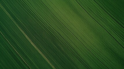 Poster - Diagonal lines formed by the pattern of a lush green field create an intriguing aerial view, highlighting the beauty of an agricultural landscape rich in vibrant colors and textures