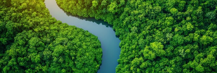 Poster - Breathtaking aerial perspective of a pristine river meandering through a dense, vibrant green forest canopy, creating a stunning natural landscape